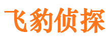 桐城外遇出轨调查取证